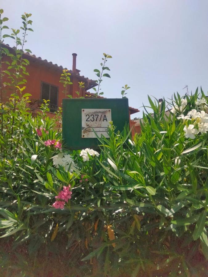 R&d Golden House Roma